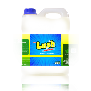 Lush Spirit of Salt