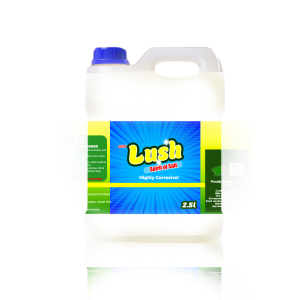 Lush Spirit of Salt