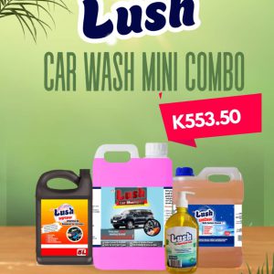 Lush Car Wash Mini Combo
