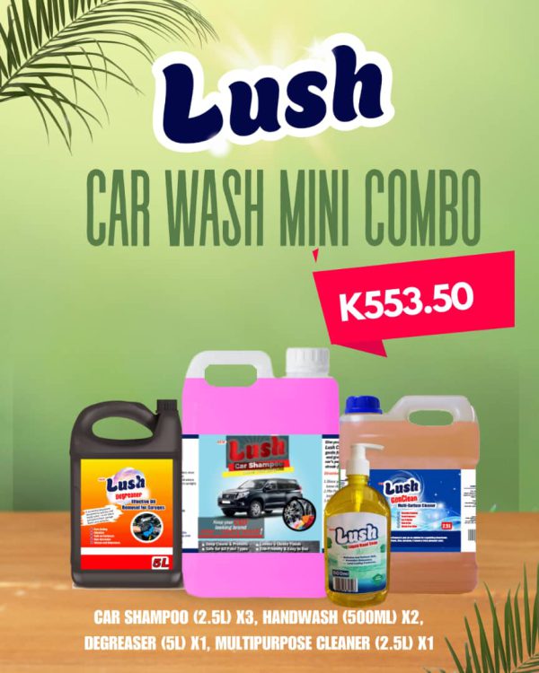 Lush Car Wash Mini Combo