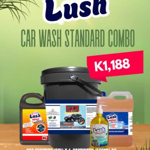 Lush Car Wash Standard Combo