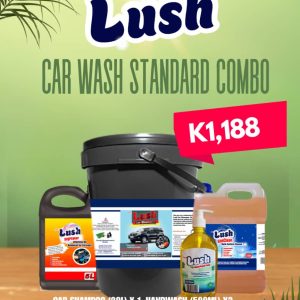 Lush Car Wash Standard Combo